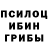 Псилоцибиновые грибы Cubensis Guy Bolfer
