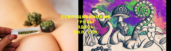 героин Абаза