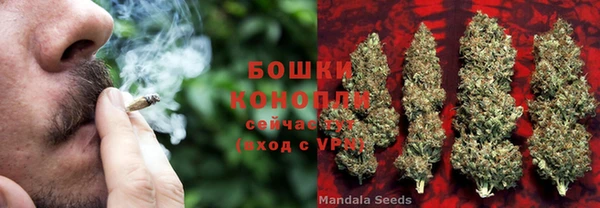 мдпв Осташков