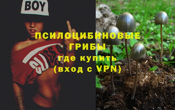 героин Абаза